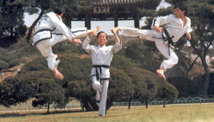 taekwondo-history-and-spread-over-the-world