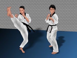 learn-taekwondo-in-the-best-way
